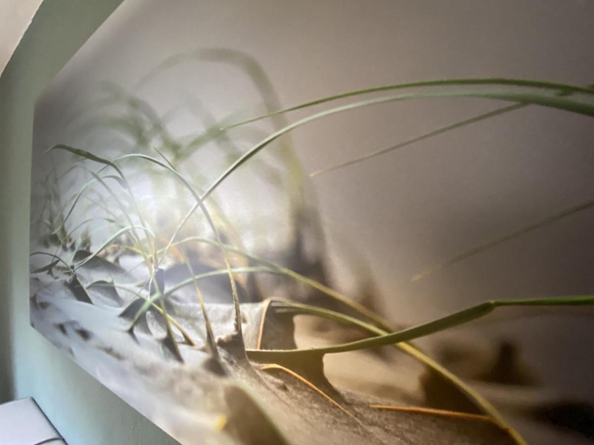 Ferienwohnung Duenengraf ヴァンガーオーゲ エクステリア 写真